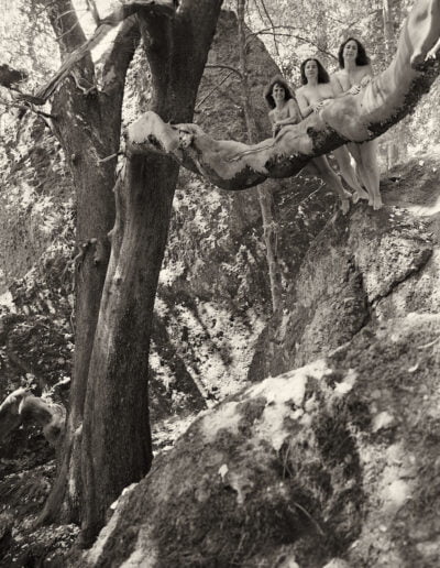 Women on tree branch in nature
