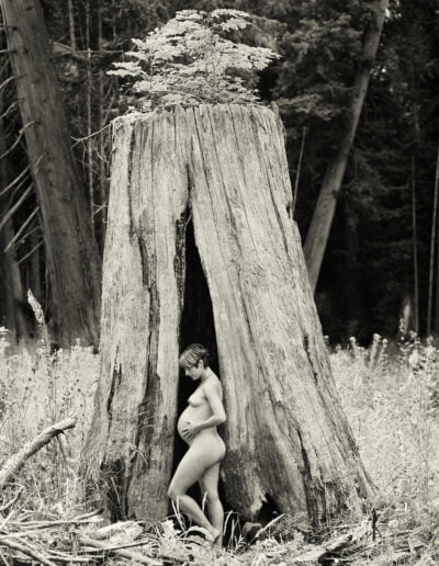 Pregnant woman standing inside tree stump