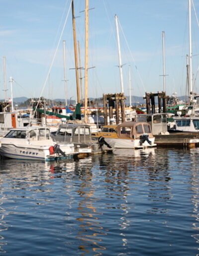 Boats docked in harbor