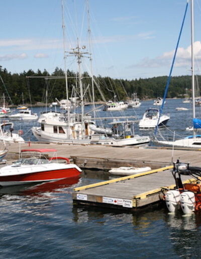 Boats docked in harbor on sunny day