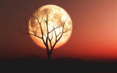 Pixie, Winston and the ” Blood Moon”